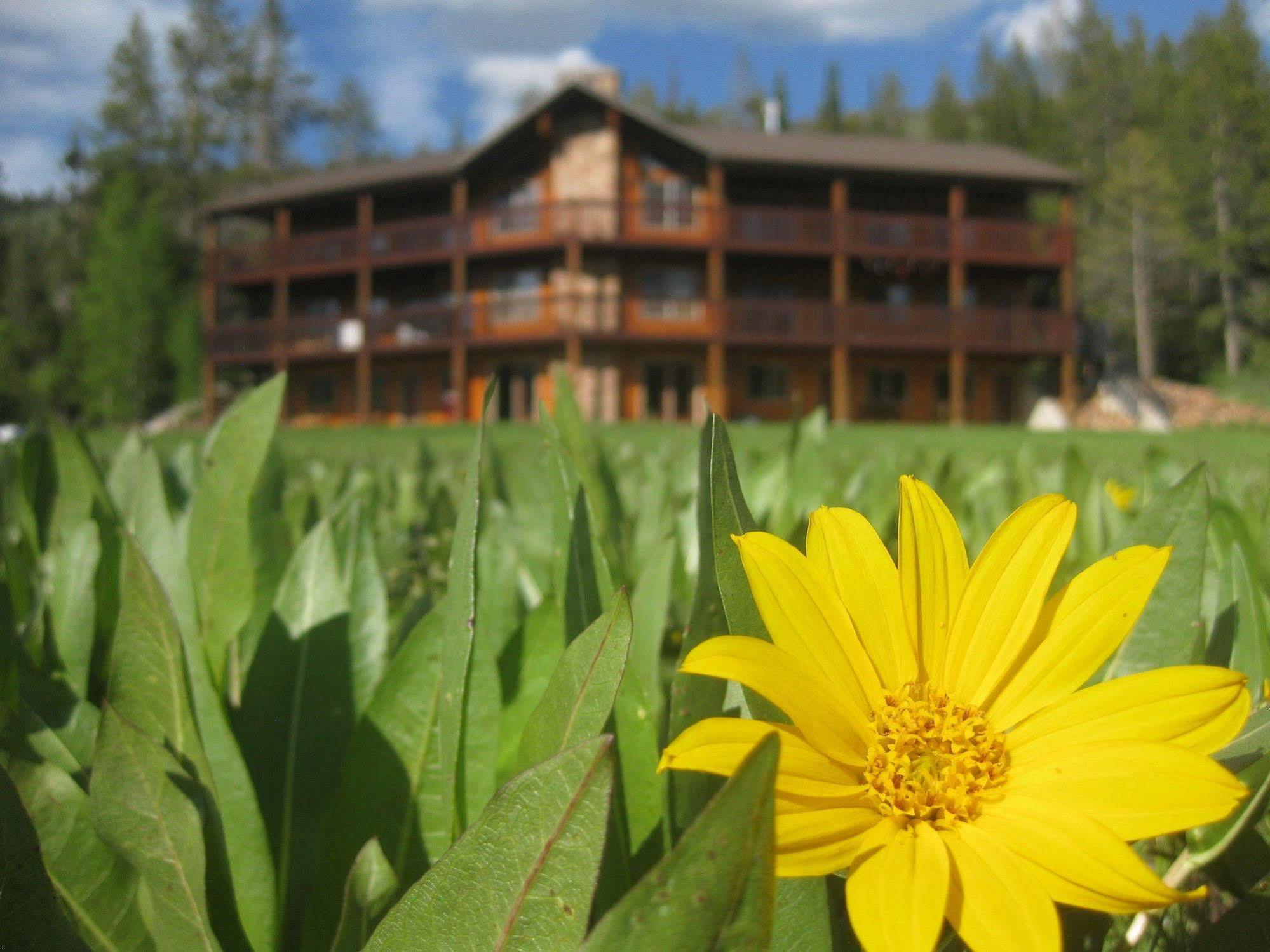 Beaver Creek Lodge Logan Extérieur photo